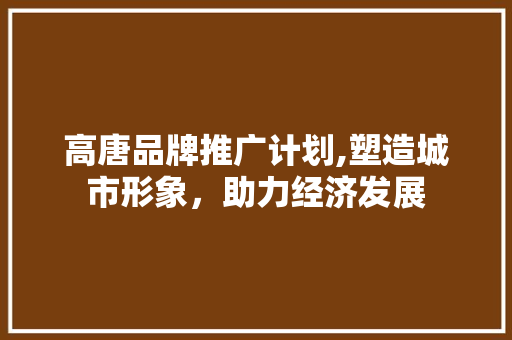 高唐品牌推广计划,塑造城市形象，助力经济发展