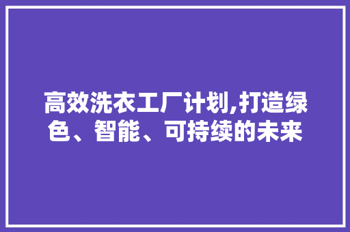 高效洗衣工厂计划,打造绿色、智能、可持续的未来