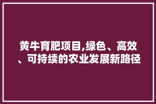 黄牛育肥项目,绿色、高效、可持续的农业发展新路径