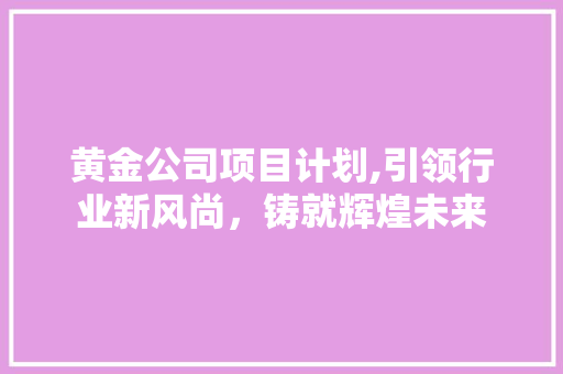 黄金公司项目计划,引领行业新风尚，铸就辉煌未来