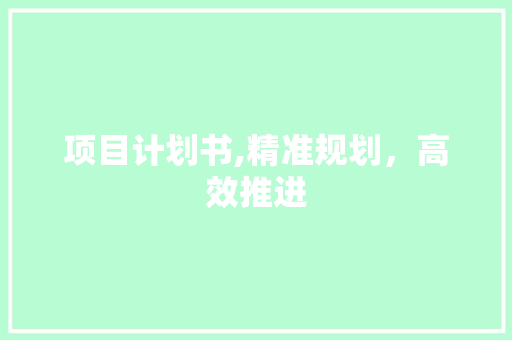 项目计划书,精准规划，高效推进
