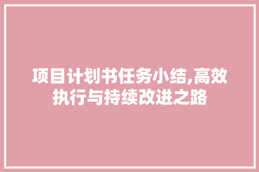 项目计划书任务小结,高效执行与持续改进之路