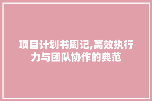 项目计划书周记,高效执行力与团队协作的典范