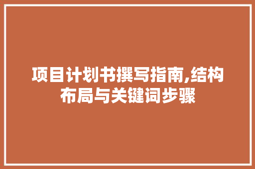 项目计划书撰写指南,结构布局与关键词步骤