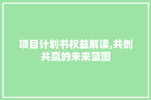 项目计划书权益解读,共创共赢的未来蓝图