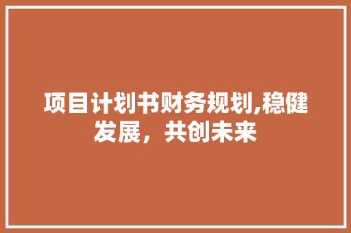 项目计划书财务规划,稳健发展，共创未来