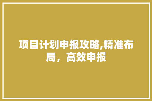 项目计划申报攻略,精准布局，高效申报