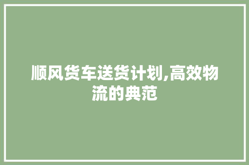 顺风货车送货计划,高效物流的典范