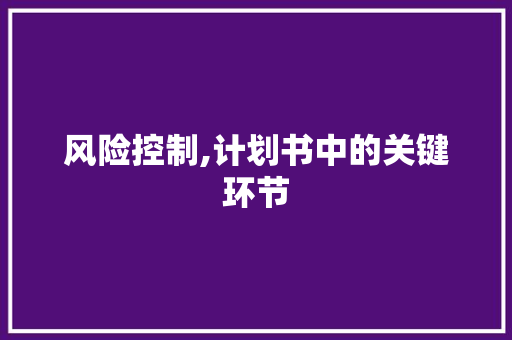 风险控制,计划书中的关键环节