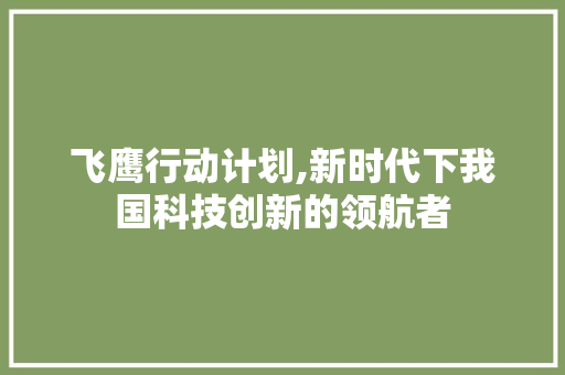 飞鹰行动计划,新时代下我国科技创新的领航者