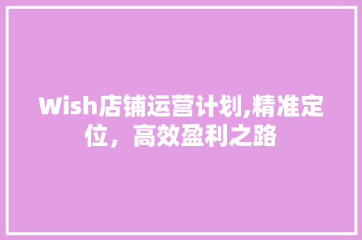 Wish店铺运营计划,精准定位，高效盈利之路