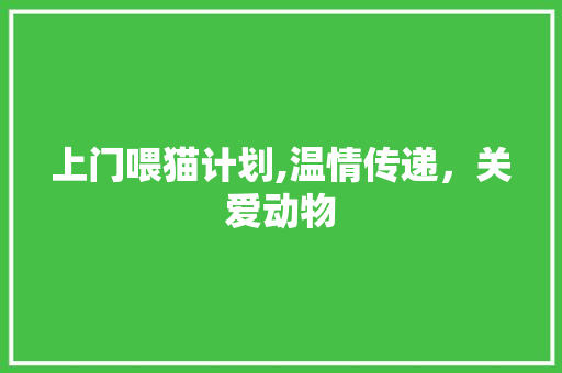 上门喂猫计划,温情传递，关爱动物