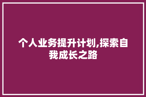 个人业务提升计划,探索自我成长之路
