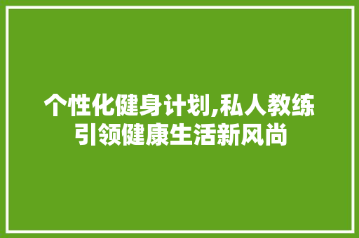 个性化健身计划,私人教练引领健康生活新风尚 工作报告