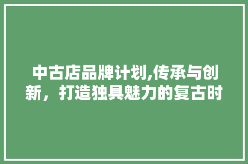 中古店品牌计划,传承与创新，打造独具魅力的复古时尚潮流