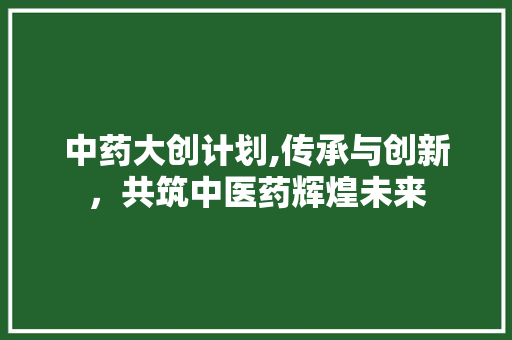 中药大创计划,传承与创新，共筑中医药辉煌未来