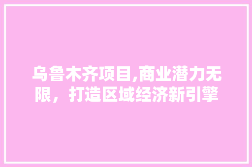 乌鲁木齐项目,商业潜力无限，打造区域经济新引擎