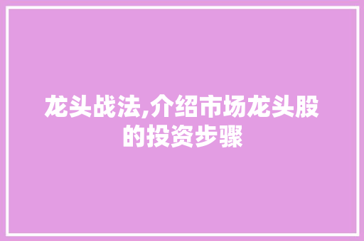 龙头战法,介绍市场龙头股的投资步骤