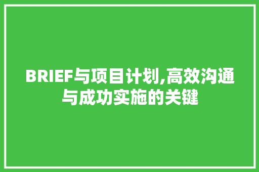 BRIEF与项目计划,高效沟通与成功实施的关键