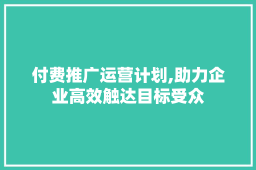 付费推广运营计划,助力企业高效触达目标受众