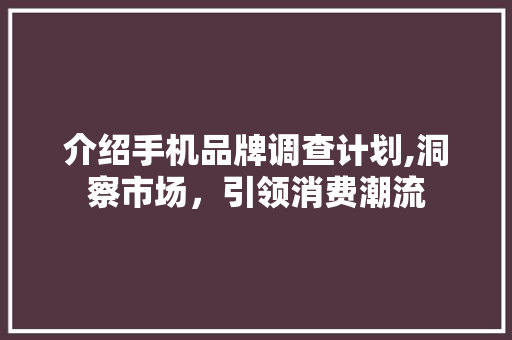 介绍手机品牌调查计划,洞察市场，引领消费潮流