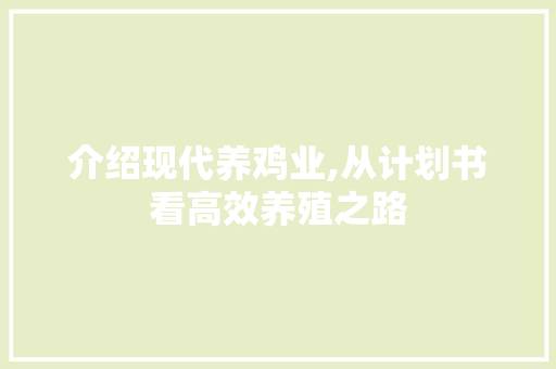 介绍现代养鸡业,从计划书看高效养殖之路