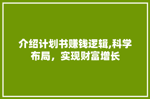 介绍计划书赚钱逻辑,科学布局，实现财富增长