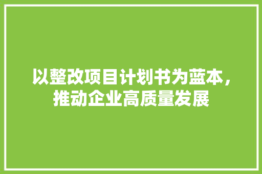 以整改项目计划书为蓝本，推动企业高质量发展