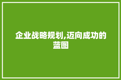 企业战略规划,迈向成功的蓝图
