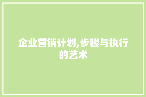 企业营销计划,步骤与执行的艺术