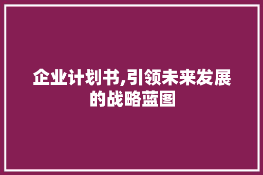企业计划书,引领未来发展的战略蓝图