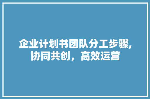 企业计划书团队分工步骤,协同共创，高效运营