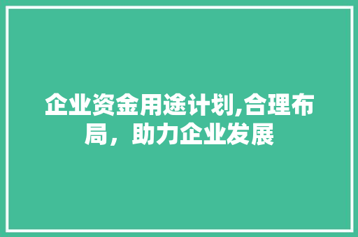 企业资金用途计划,合理布局，助力企业发展