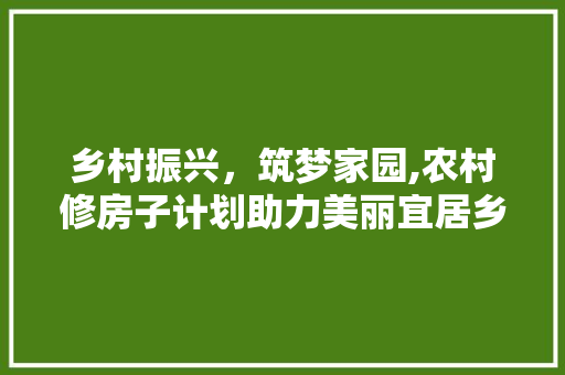 乡村振兴，筑梦家园,农村修房子计划助力美丽宜居乡村建设