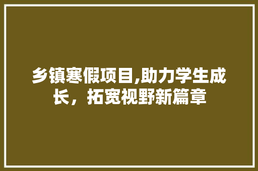 乡镇寒假项目,助力学生成长，拓宽视野新篇章