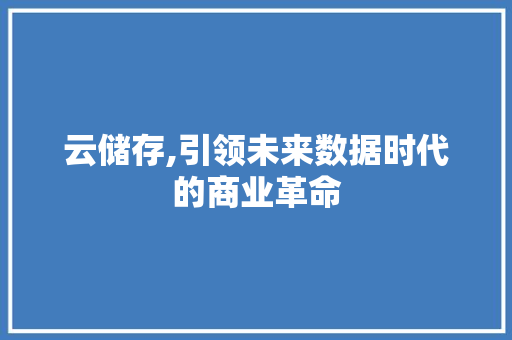 云储存,引领未来数据时代的商业革命