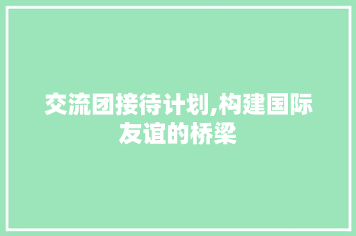 交流团接待计划,构建国际友谊的桥梁