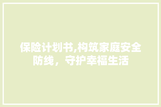 保险计划书,构筑家庭安全防线，守护幸福生活