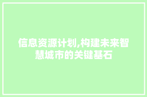 信息资源计划,构建未来智慧城市的关键基石