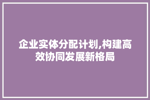 企业实体分配计划,构建高效协同发展新格局