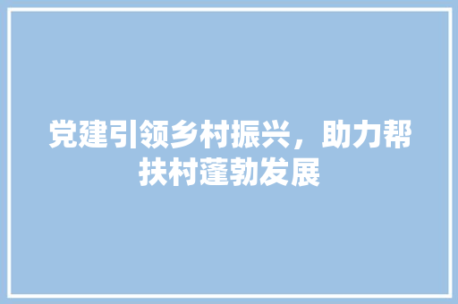 党建引领乡村振兴，助力帮扶村蓬勃发展