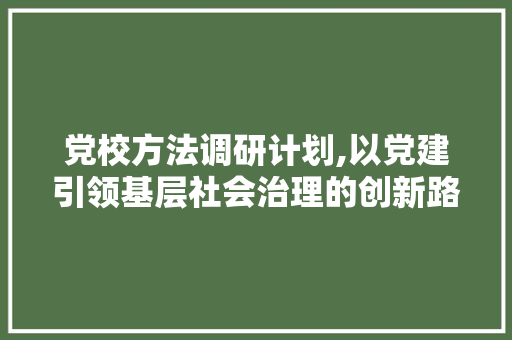 党校方法调研计划,以党建引领基层社会治理的创新路径探析