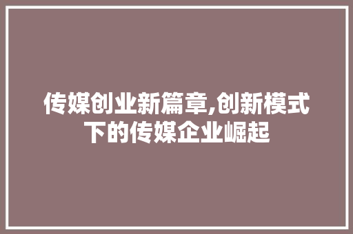 传媒创业新篇章,创新模式下的传媒企业崛起