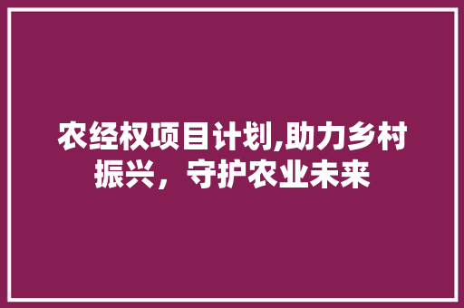农经权项目计划,助力乡村振兴，守护农业未来