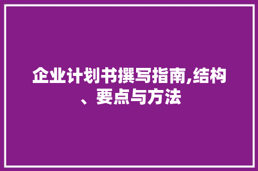 企业计划书撰写指南,结构、要点与方法