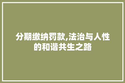 分期缴纳罚款,法治与人性的和谐共生之路