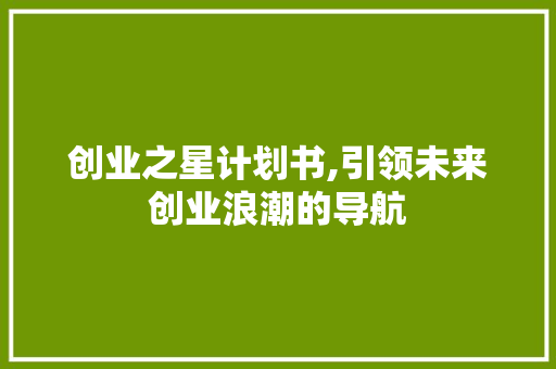 创业之星计划书,引领未来创业浪潮的导航