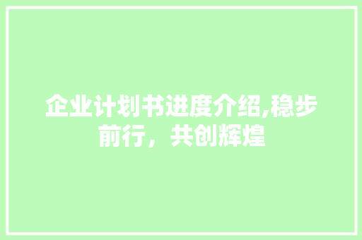 企业计划书进度介绍,稳步前行，共创辉煌