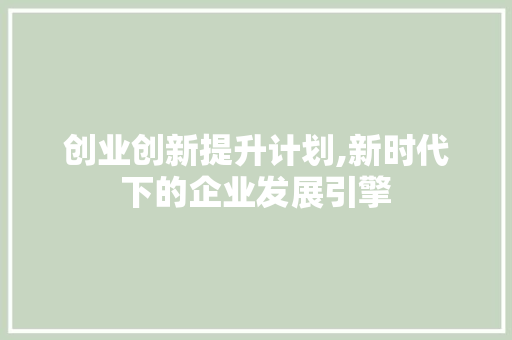 创业创新提升计划,新时代下的企业发展引擎