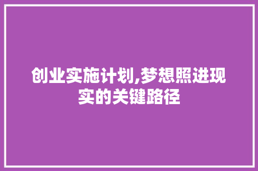 创业实施计划,梦想照进现实的关键路径